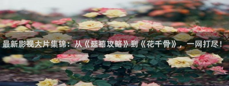 黑蚂蚁影院在线观看