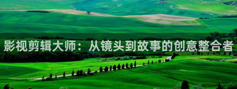 黑蚂蚁电视剧大全：影视剪辑大师：从镜头到故事的创意整合者