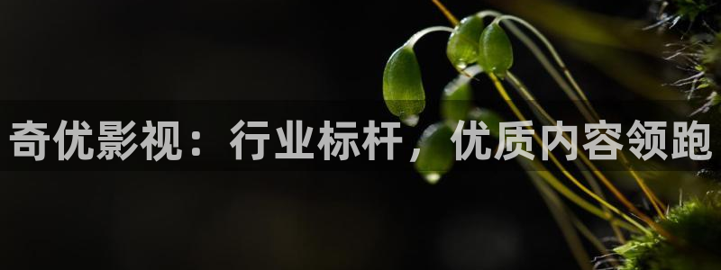 黑蚂蚁电视剧剧情简介：奇优影视：行业标杆，优质内容领跑