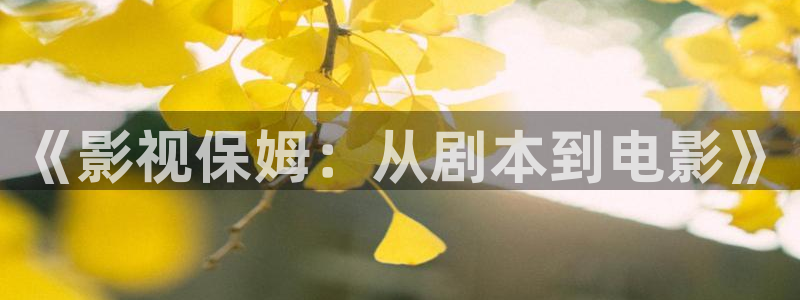 黑蚂蚁影院免费看电视剧：《影视保姆：从剧本到电影》