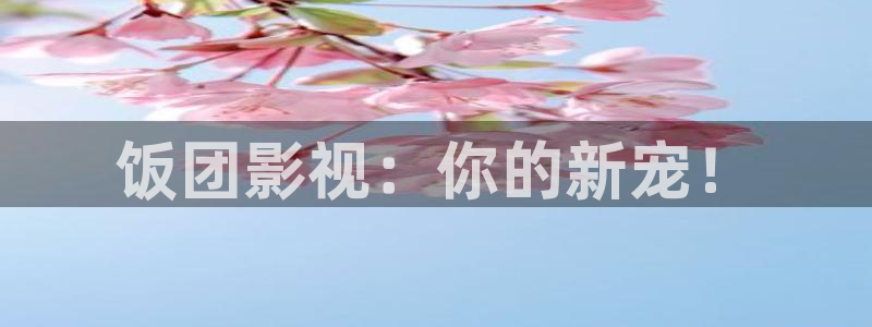 黑蚂蚁影城：饭团影视：你的新宠！