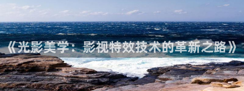 黑蚂蚁分集剧情介绍