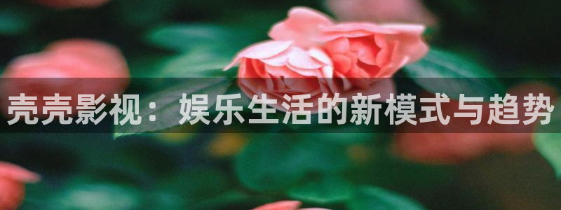 黑蚂蚁影院在线观看
