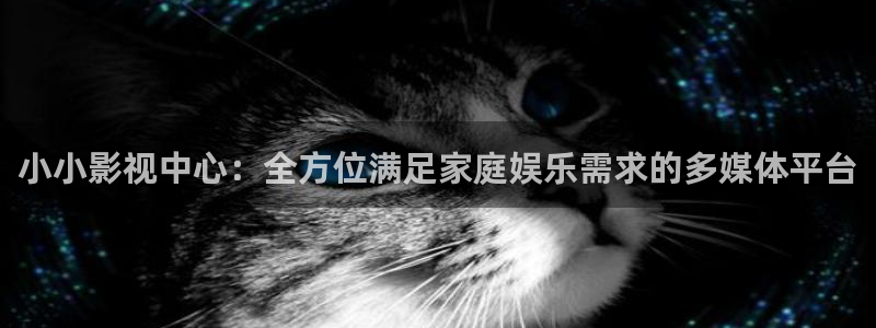 蚂蚁影视 黑蚂蚁：小小影视中心：全方位满足家庭娱乐需求的多媒体平台