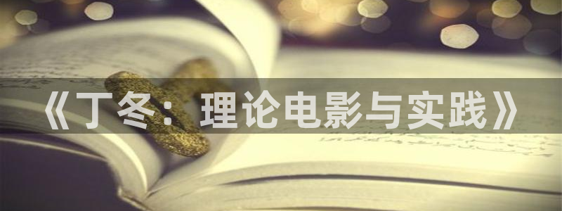 黑蚂蚁电视剧剧情介绍：《丁冬：理论电影与实践》