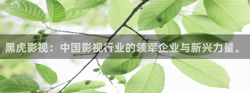 黑蚂蚁影院在线电视剧：黑虎影视：中国影视行业的领军企业与新兴力量。