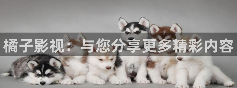 黑蚂蚁电影电视：橘子影视：与您分享更多精彩内容