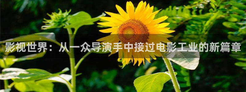黑蚂蚁影视电视剧官网：影视世界：从一众导演手中接过电影工业的新篇章